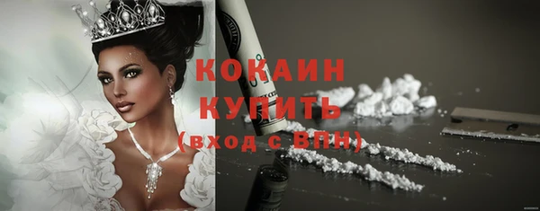 хмурый Арсеньев