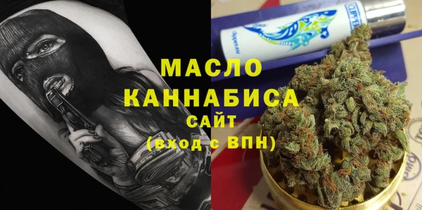 хмурый Арсеньев
