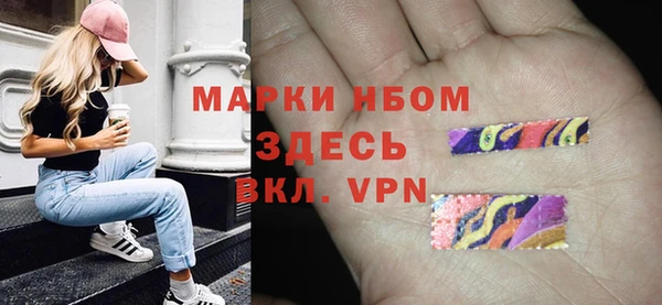 хмурый Арсеньев