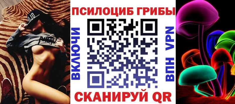 Псилоцибиновые грибы Cubensis  Сосновка 