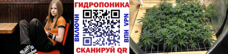 Бошки Шишки план  дарк нет какой сайт  Сосновка 